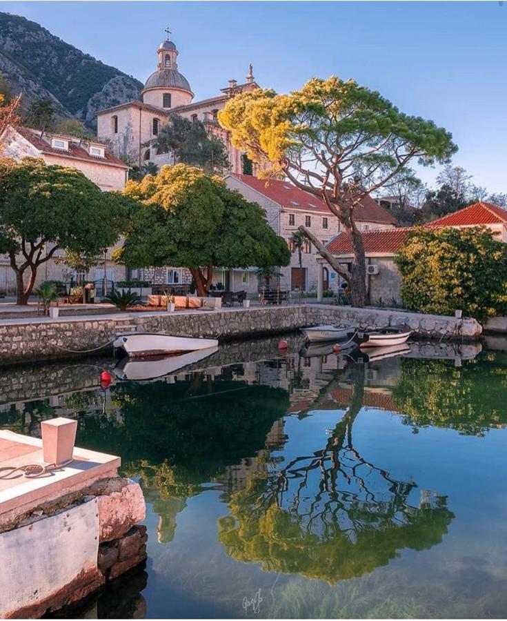 Apartman Barbara Kotor Exteriér fotografie