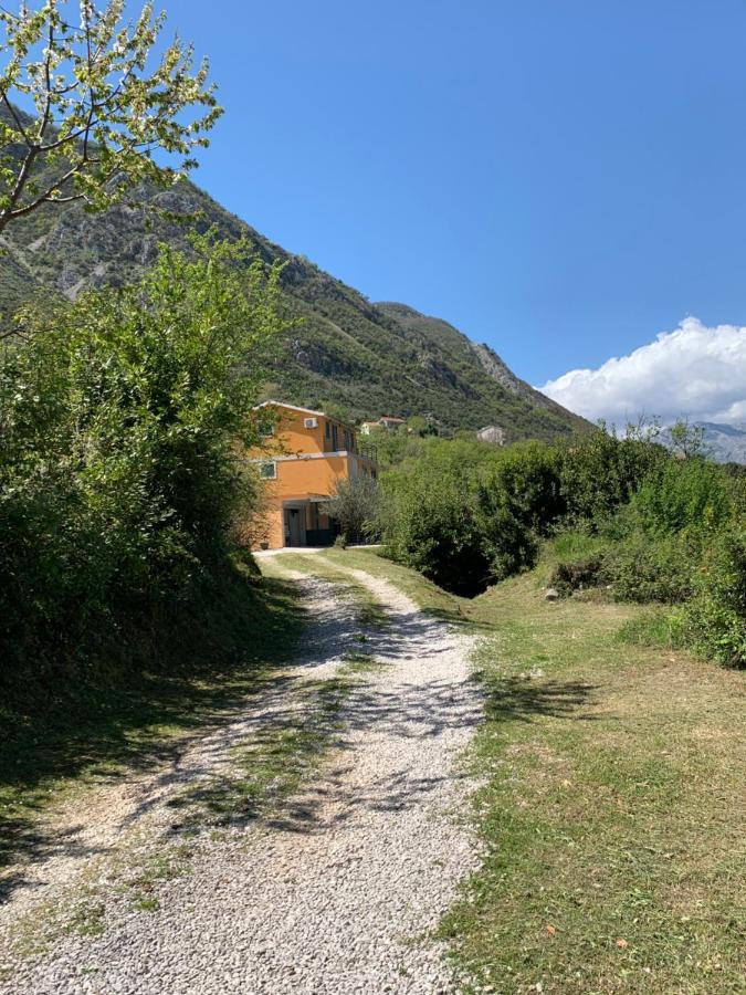 Apartman Barbara Kotor Exteriér fotografie