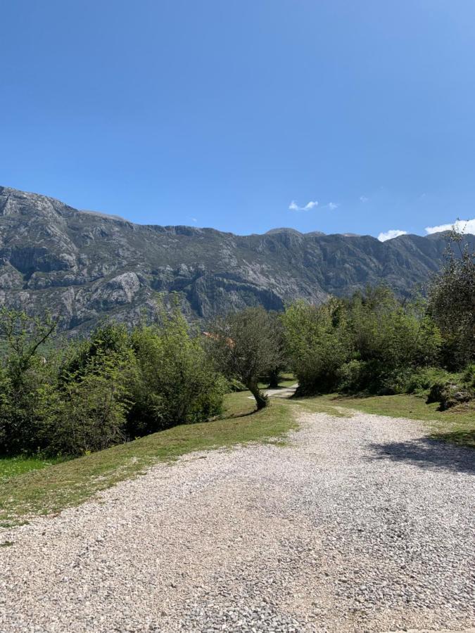 Apartman Barbara Kotor Exteriér fotografie