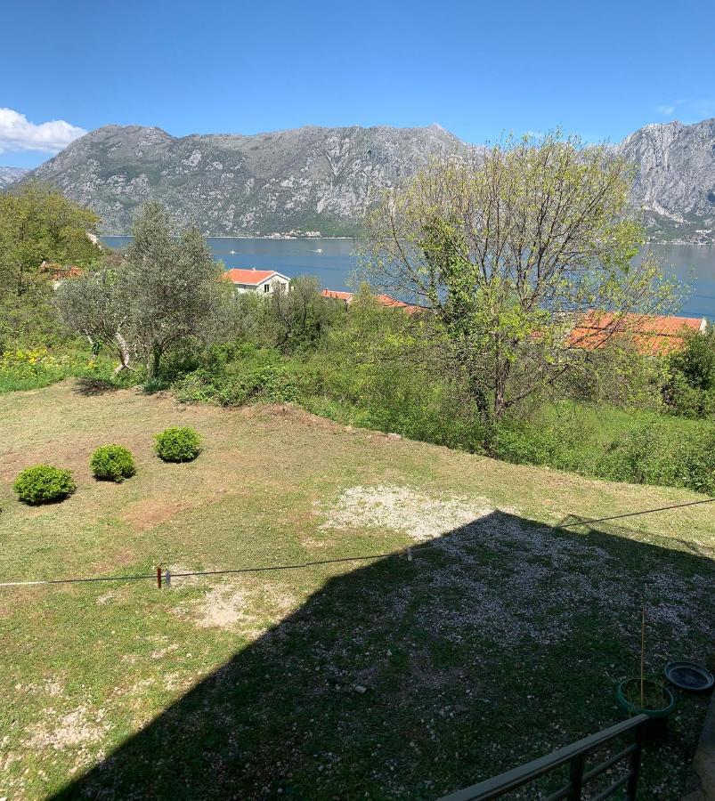 Apartman Barbara Kotor Exteriér fotografie