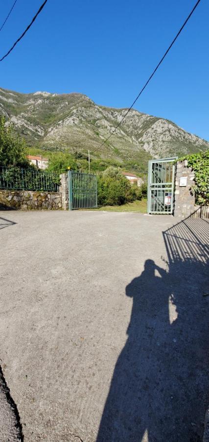 Apartman Barbara Kotor Exteriér fotografie