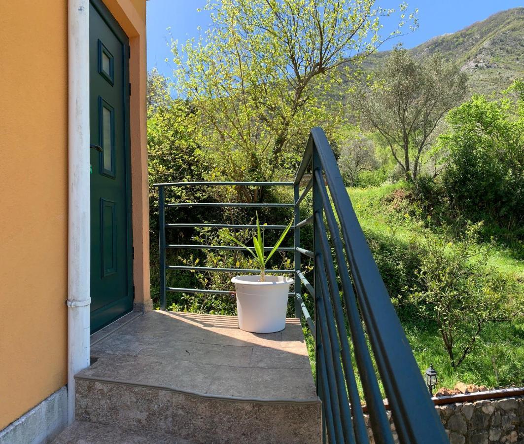 Apartman Barbara Kotor Exteriér fotografie